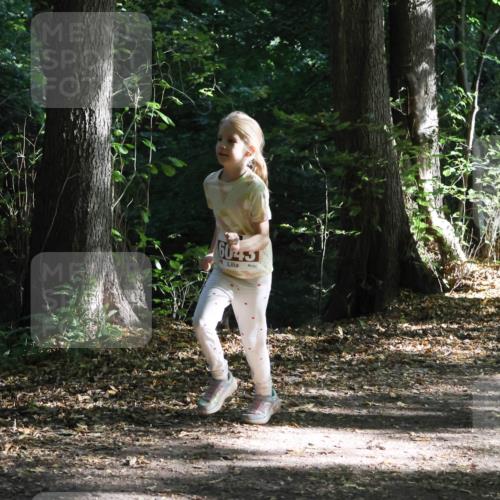 28.09.2025 - 33. Volkslauf durch das schöne Alstertal Strokosch-Dieckow http://msf.ph/oto/8967702 28.09.2025 10:41:46 Laufen 6043 meine-sportfotos.de