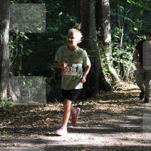 28.09.2025 - 33. Volkslauf durch das schöne Alstertal Strokosch-Dieckow http://msf.ph/oto/8967705 28.09.2025 10:41:47 Laufen 6036, 6009 meine-sportfotos.de