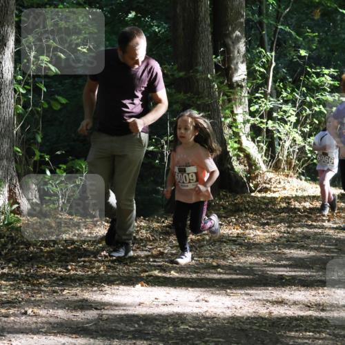 28.09.2025 - 33. Volkslauf durch das schöne Alstertal Strokosch-Dieckow http://msf.ph/oto/8967706 28.09.2025 10:41:49 Laufen 6009, 6966, 6964, 697 meine-sportfotos.de