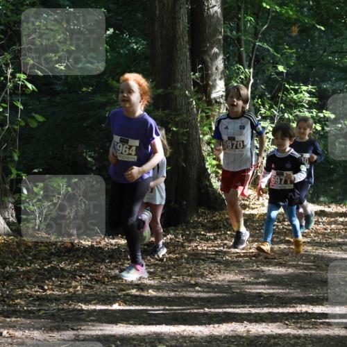 28.09.2025 - 33. Volkslauf durch das schöne Alstertal Strokosch-Dieckow http://msf.ph/oto/8967709 28.09.2025 10:41:50 Laufen 964, 6970, 6953, 604 meine-sportfotos.de