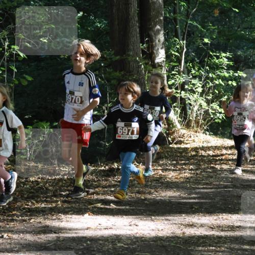 28.09.2025 - 33. Volkslauf durch das schöne Alstertal Strokosch-Dieckow http://msf.ph/oto/8967711 28.09.2025 10:41:51 Laufen 6966, 6970, 6971, 6030, 6953, 6967, 69 meine-sportfotos.de