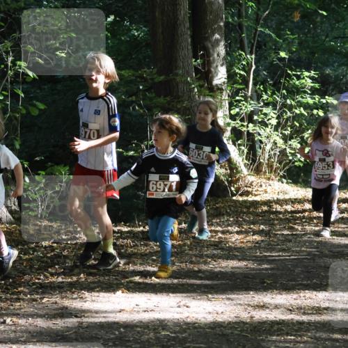 28.09.2025 - 33. Volkslauf durch das schöne Alstertal Strokosch-Dieckow http://msf.ph/oto/8967712 28.09.2025 10:41:51 Laufen 6966, 970, 6971, 6030, 6953, 6967, 695 meine-sportfotos.de