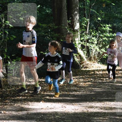 28.09.2025 - 33. Volkslauf durch das schöne Alstertal Strokosch-Dieckow http://msf.ph/oto/8967714 28.09.2025 10:41:51 Laufen 6966, 697, 6030, 953, 967, 6952 meine-sportfotos.de