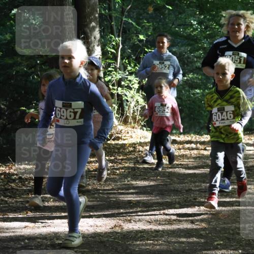 28.09.2025 - 33. Volkslauf durch das schöne Alstertal Strokosch-Dieckow http://msf.ph/oto/8967716 28.09.2025 10:41:53 Laufen 6967, 3, 952, 051, 6954, 6046, 6024 meine-sportfotos.de