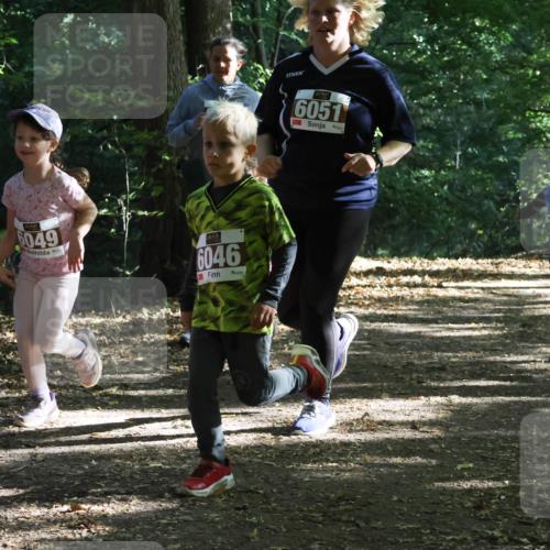 28.09.2025 - 33. Volkslauf durch das schöne Alstertal Strokosch-Dieckow http://msf.ph/oto/8967718 28.09.2025 10:41:53 Laufen 6953, 6049, 6046, 6051, 6024, 6021 meine-sportfotos.de