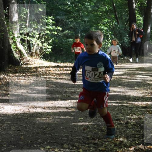 28.09.2025 - 33. Volkslauf durch das schöne Alstertal Strokosch-Dieckow http://msf.ph/oto/8967721 28.09.2025 10:41:54 Laufen 951, 79, 6024, 6021 meine-sportfotos.de