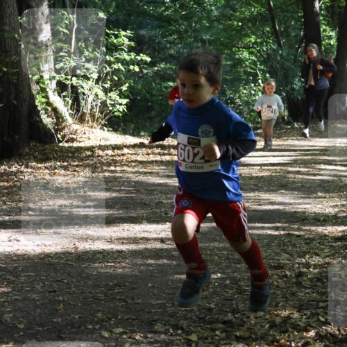 28.09.2025 - 33. Volkslauf durch das schöne Alstertal Strokosch-Dieckow http://msf.ph/oto/8967722 28.09.2025 10:41:54 Laufen 602, 6021 meine-sportfotos.de