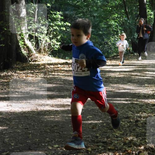 28.09.2025 - 33. Volkslauf durch das schöne Alstertal Strokosch-Dieckow http://msf.ph/oto/8967723 28.09.2025 10:41:55 Laufen 5024, 6021 meine-sportfotos.de