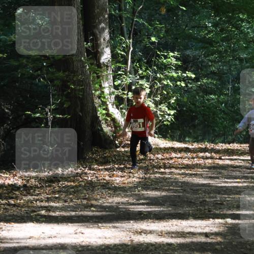 28.09.2025 - 33. Volkslauf durch das schöne Alstertal Strokosch-Dieckow http://msf.ph/oto/8967725 28.09.2025 10:41:55 Laufen 6951, 6021 meine-sportfotos.de