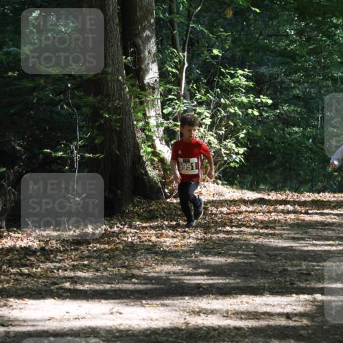 28.09.2025 - 33. Volkslauf durch das schöne Alstertal Strokosch-Dieckow http://msf.ph/oto/8967726 28.09.2025 10:41:56 Laufen 6951, 60214 meine-sportfotos.de