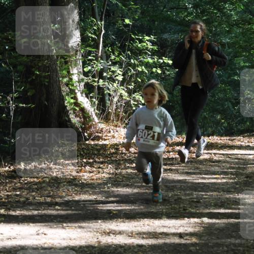28.09.2025 - 33. Volkslauf durch das schöne Alstertal Strokosch-Dieckow http://msf.ph/oto/8967728 28.09.2025 10:41:57 Laufen 6021 meine-sportfotos.de