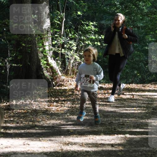 28.09.2025 - 33. Volkslauf durch das schöne Alstertal Strokosch-Dieckow http://msf.ph/oto/8967729 28.09.2025 10:41:57 Laufen 6021 meine-sportfotos.de