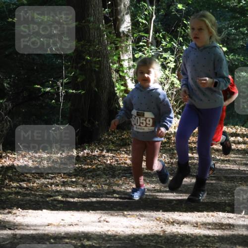 28.09.2025 - 33. Volkslauf durch das schöne Alstertal Strokosch-Dieckow http://msf.ph/oto/8967732 28.09.2025 10:42:02 Laufen 6059 meine-sportfotos.de