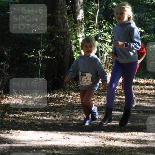 28.09.2025 - 33. Volkslauf durch das schöne Alstertal Strokosch-Dieckow http://msf.ph/oto/8967733 28.09.2025 10:42:02 Laufen 55, 6059 meine-sportfotos.de