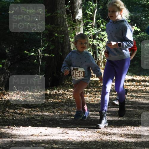 28.09.2025 - 33. Volkslauf durch das schöne Alstertal Strokosch-Dieckow http://msf.ph/oto/8967735 28.09.2025 10:42:02 Laufen 059 meine-sportfotos.de