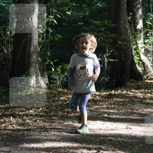 28.09.2025 - 33. Volkslauf durch das schöne Alstertal Strokosch-Dieckow http://msf.ph/oto/8967742 28.09.2025 10:42:04 Laufen 6958 meine-sportfotos.de