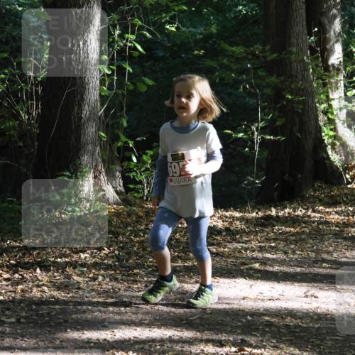28.09.2025 - 33. Volkslauf durch das schöne Alstertal Strokosch-Dieckow http://msf.ph/oto/8967743 28.09.2025 10:42:04 Laufen 69 meine-sportfotos.de