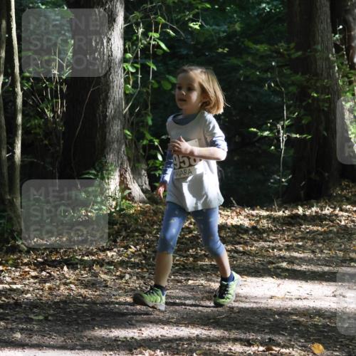 28.09.2025 - 33. Volkslauf durch das schöne Alstertal Strokosch-Dieckow http://msf.ph/oto/8967744 28.09.2025 10:42:04 Laufen 950 meine-sportfotos.de