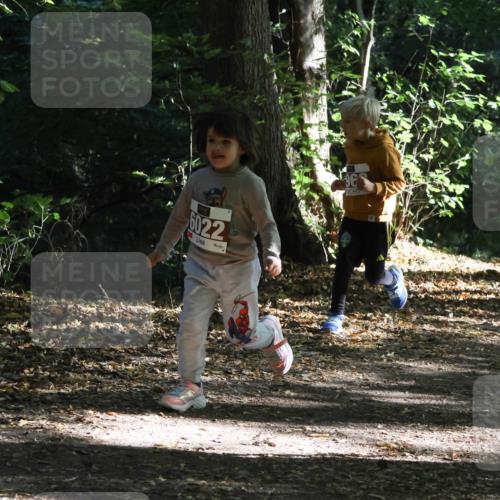 28.09.2025 - 33. Volkslauf durch das schöne Alstertal Strokosch-Dieckow http://msf.ph/oto/8967747 28.09.2025 10:42:07 Laufen 6022, 96, 6027 meine-sportfotos.de