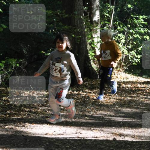 28.09.2025 - 33. Volkslauf durch das schöne Alstertal Strokosch-Dieckow http://msf.ph/oto/8967748 28.09.2025 10:42:07 Laufen 022, 6968, 6027 meine-sportfotos.de