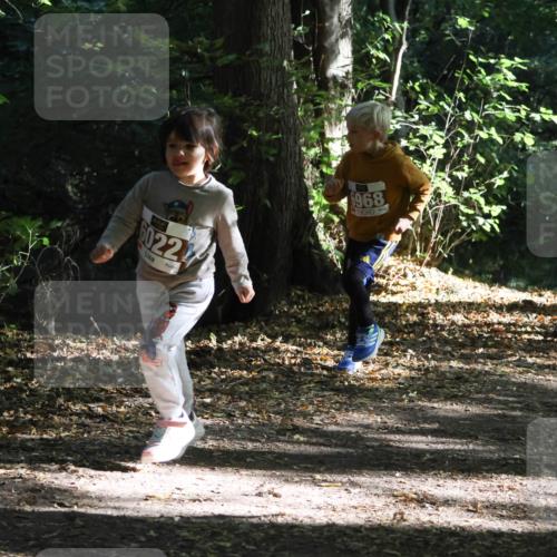 28.09.2025 - 33. Volkslauf durch das schöne Alstertal Strokosch-Dieckow http://msf.ph/oto/8967750 28.09.2025 10:42:07 Laufen 60224, 6968, 602 meine-sportfotos.de