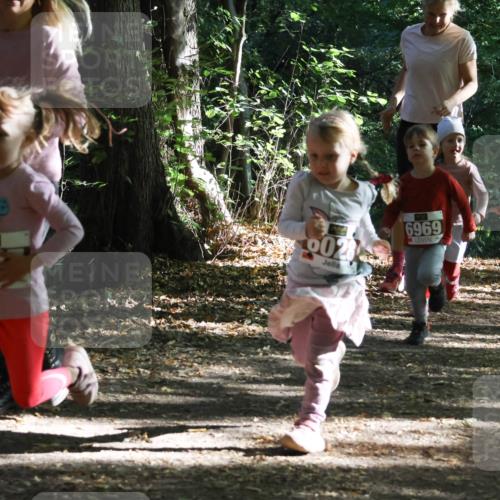 28.09.2025 - 33. Volkslauf durch das schöne Alstertal Strokosch-Dieckow http://msf.ph/oto/8967751 28.09.2025 10:42:09 Laufen 002, 6969, 6039 meine-sportfotos.de