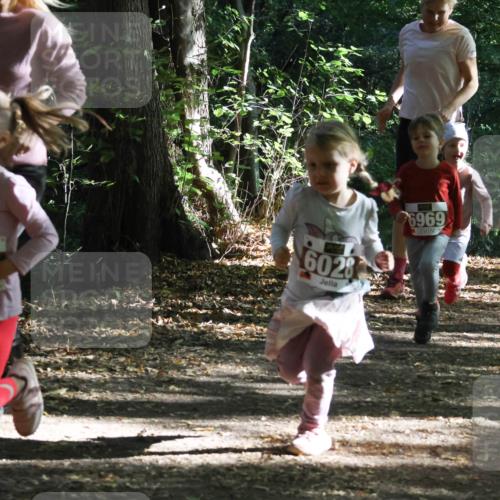 28.09.2025 - 33. Volkslauf durch das schöne Alstertal Strokosch-Dieckow http://msf.ph/oto/8967752 28.09.2025 10:42:09 Laufen 60, 6028, 6969, 6039 meine-sportfotos.de