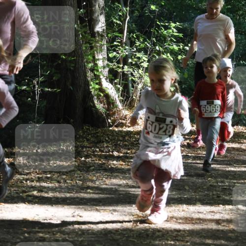 28.09.2025 - 33. Volkslauf durch das schöne Alstertal Strokosch-Dieckow http://msf.ph/oto/8967754 28.09.2025 10:42:09 Laufen 602, 6028, 6969, 6039, 50 meine-sportfotos.de