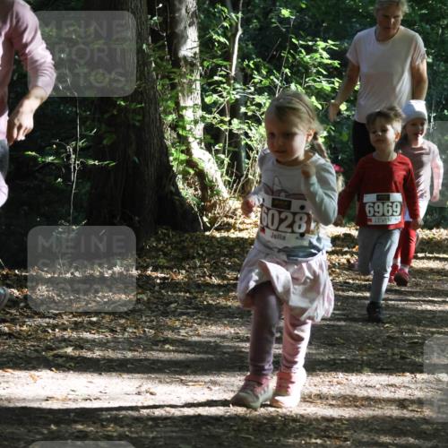 28.09.2025 - 33. Volkslauf durch das schöne Alstertal Strokosch-Dieckow http://msf.ph/oto/8967755 28.09.2025 10:42:09 Laufen 6028, 6969, 6039 meine-sportfotos.de