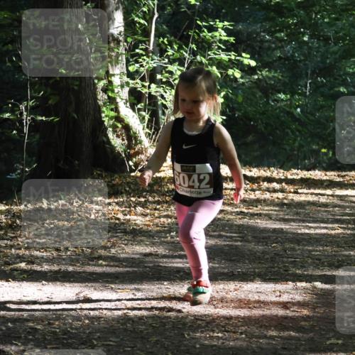 28.09.2025 - 33. Volkslauf durch das schöne Alstertal Strokosch-Dieckow http://msf.ph/oto/8967757 28.09.2025 10:42:16 Laufen 042 meine-sportfotos.de