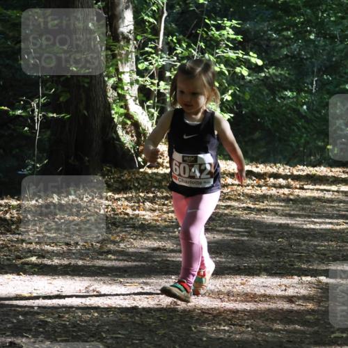 28.09.2025 - 33. Volkslauf durch das schöne Alstertal Strokosch-Dieckow http://msf.ph/oto/8967758 28.09.2025 10:42:16 Laufen 6042 meine-sportfotos.de