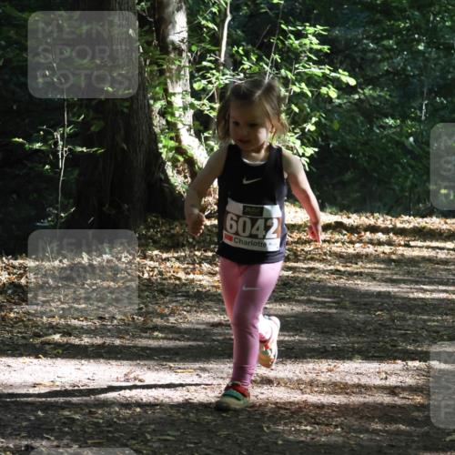 28.09.2025 - 33. Volkslauf durch das schöne Alstertal Strokosch-Dieckow http://msf.ph/oto/8967759 28.09.2025 10:42:16 Laufen 60425 meine-sportfotos.de