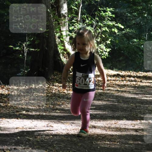 28.09.2025 - 33. Volkslauf durch das schöne Alstertal Strokosch-Dieckow http://msf.ph/oto/8967761 28.09.2025 10:42:16 Laufen 6042 meine-sportfotos.de