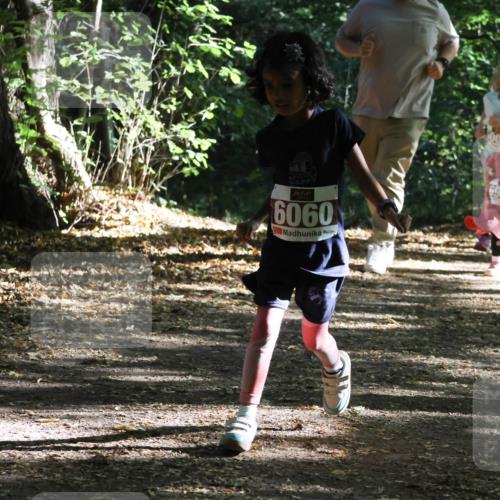 28.09.2025 - 33. Volkslauf durch das schöne Alstertal Strokosch-Dieckow http://msf.ph/oto/8967763 28.09.2025 10:42:20 Laufen 500, 6060, 6956 meine-sportfotos.de