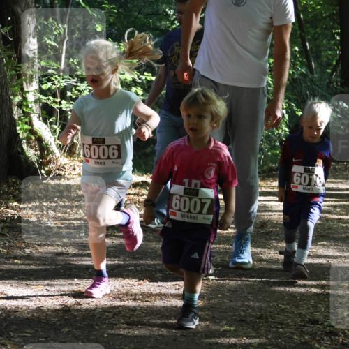 28.09.2025 - 33. Volkslauf durch das schöne Alstertal Strokosch-Dieckow http://msf.ph/oto/8967769 28.09.2025 10:42:24 Laufen 46006, 8889, 6010, 6007, 696, 6961 meine-sportfotos.de