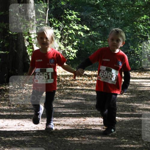 28.09.2025 - 33. Volkslauf durch das schöne Alstertal Strokosch-Dieckow http://msf.ph/oto/8967775 28.09.2025 10:42:29 Laufen 6963, 6961 meine-sportfotos.de