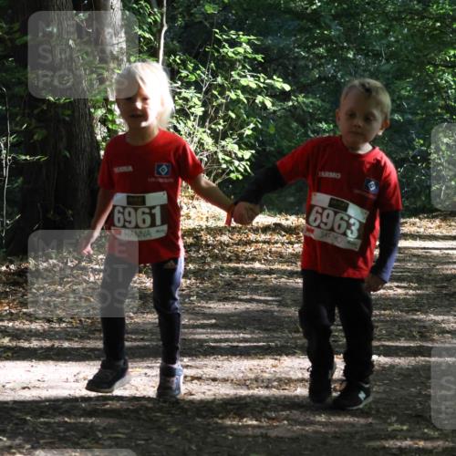 28.09.2025 - 33. Volkslauf durch das schöne Alstertal Strokosch-Dieckow http://msf.ph/oto/8967777 28.09.2025 10:42:29 Laufen 6961, 6963 meine-sportfotos.de