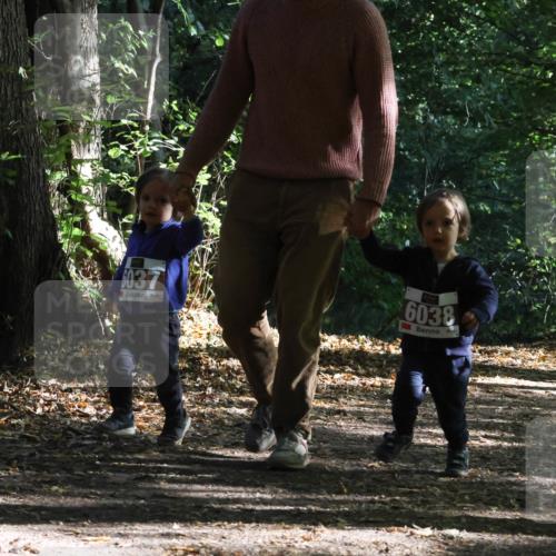 28.09.2025 - 33. Volkslauf durch das schöne Alstertal Strokosch-Dieckow http://msf.ph/oto/8967785 28.09.2025 10:42:41 Laufen 6037, 6038 meine-sportfotos.de