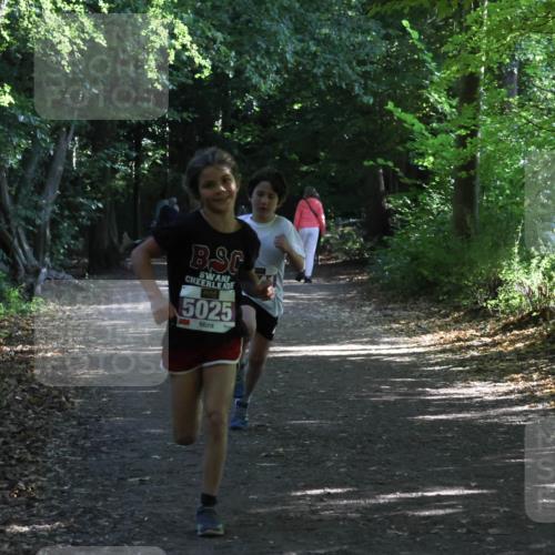 28.09.2025 - 33. Volkslauf durch das schöne Alstertal Strokosch-Dieckow http://msf.ph/oto/8967793 28.09.2025 10:43:48 Laufen 5025 meine-sportfotos.de