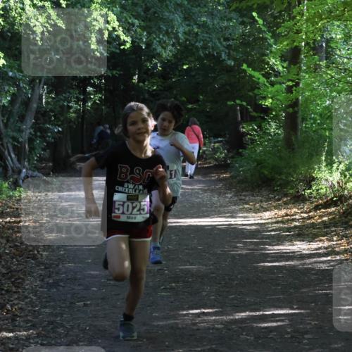 28.09.2025 - 33. Volkslauf durch das schöne Alstertal Strokosch-Dieckow http://msf.ph/oto/8967795 28.09.2025 10:43:48 Laufen 5025 meine-sportfotos.de