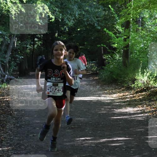28.09.2025 - 33. Volkslauf durch das schöne Alstertal Strokosch-Dieckow http://msf.ph/oto/8967796 28.09.2025 10:43:48 Laufen 5025 meine-sportfotos.de