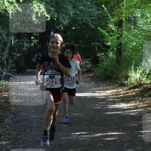 28.09.2025 - 33. Volkslauf durch das schöne Alstertal Strokosch-Dieckow http://msf.ph/oto/8967797 28.09.2025 10:43:48 Laufen 5025, 5041 meine-sportfotos.de