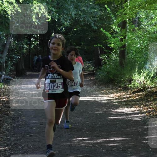 28.09.2025 - 33. Volkslauf durch das schöne Alstertal Strokosch-Dieckow http://msf.ph/oto/8967799 28.09.2025 10:43:48 Laufen 5025, 041 meine-sportfotos.de
