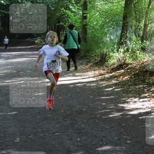 28.09.2025 - 33. Volkslauf durch das schöne Alstertal Strokosch-Dieckow http://msf.ph/oto/8967800 28.09.2025 10:44:05 Laufen 5003 meine-sportfotos.de