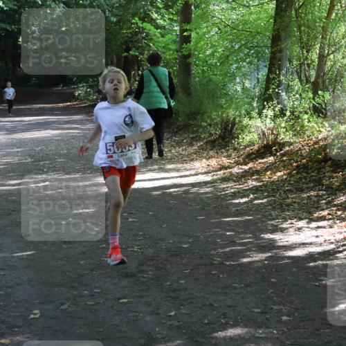 28.09.2025 - 33. Volkslauf durch das schöne Alstertal Strokosch-Dieckow http://msf.ph/oto/8967801 28.09.2025 10:44:05 Laufen 5053 meine-sportfotos.de