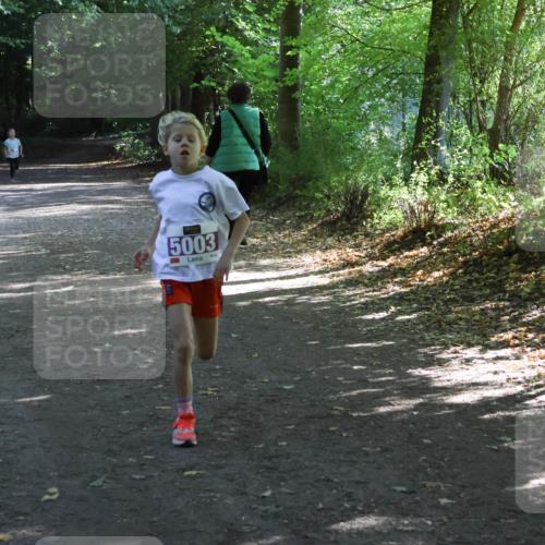 28.09.2025 - 33. Volkslauf durch das schöne Alstertal Strokosch-Dieckow http://msf.ph/oto/8967803 28.09.2025 10:44:05 Laufen 5003 meine-sportfotos.de