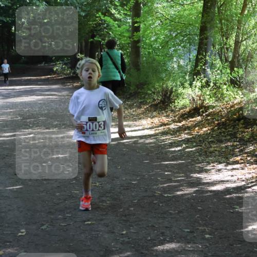 28.09.2025 - 33. Volkslauf durch das schöne Alstertal Strokosch-Dieckow http://msf.ph/oto/8967804 28.09.2025 10:44:05 Laufen 5003 meine-sportfotos.de