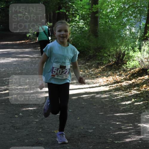 28.09.2025 - 33. Volkslauf durch das schöne Alstertal Strokosch-Dieckow http://msf.ph/oto/8967808 28.09.2025 10:44:14 Laufen 5022 meine-sportfotos.de