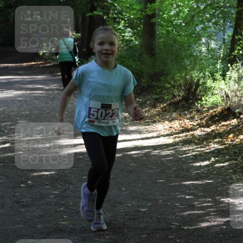 28.09.2025 - 33. Volkslauf durch das schöne Alstertal Strokosch-Dieckow http://msf.ph/oto/8967809 28.09.2025 10:44:14 Laufen 5022 meine-sportfotos.de