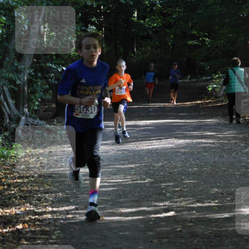28.09.2025 - 33. Volkslauf durch das schöne Alstertal Strokosch-Dieckow http://msf.ph/oto/8967812 28.09.2025 10:44:20 Laufen 5044, 5030 meine-sportfotos.de